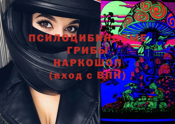 спиды Арсеньев