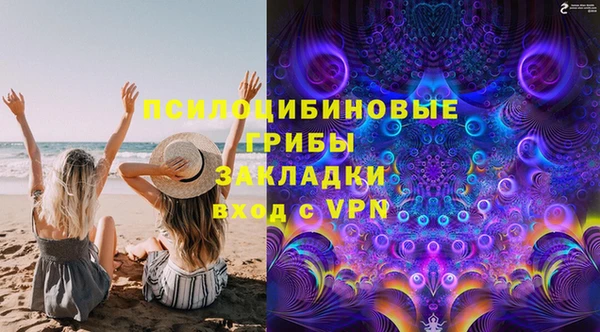 спиды Арсеньев